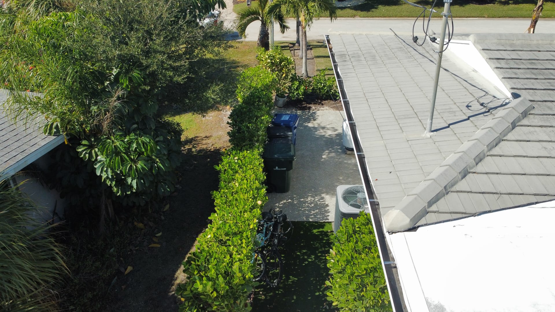 Aerial view of dense tropical landscaping with palms and hedges