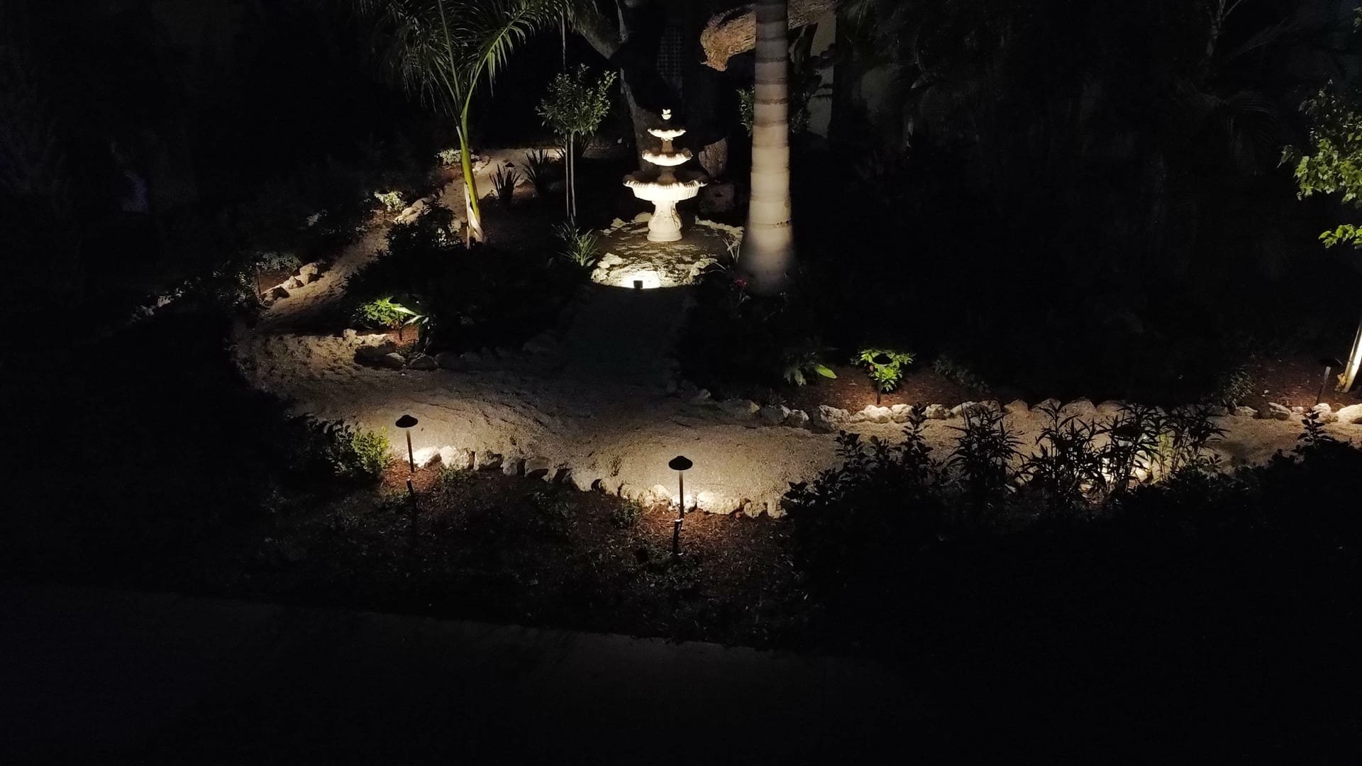 Garden fountain and palm trees illuminated by landscape lighting at night