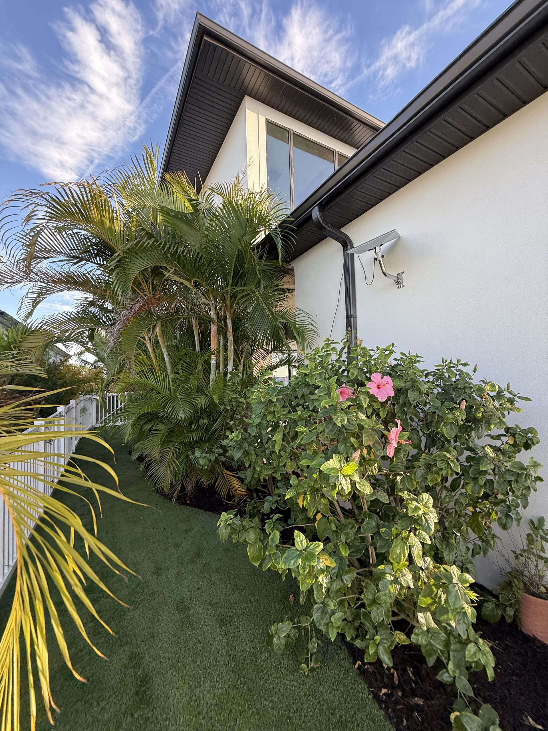 After: layered beds with hibiscus, crotons, and palms filling in along the home