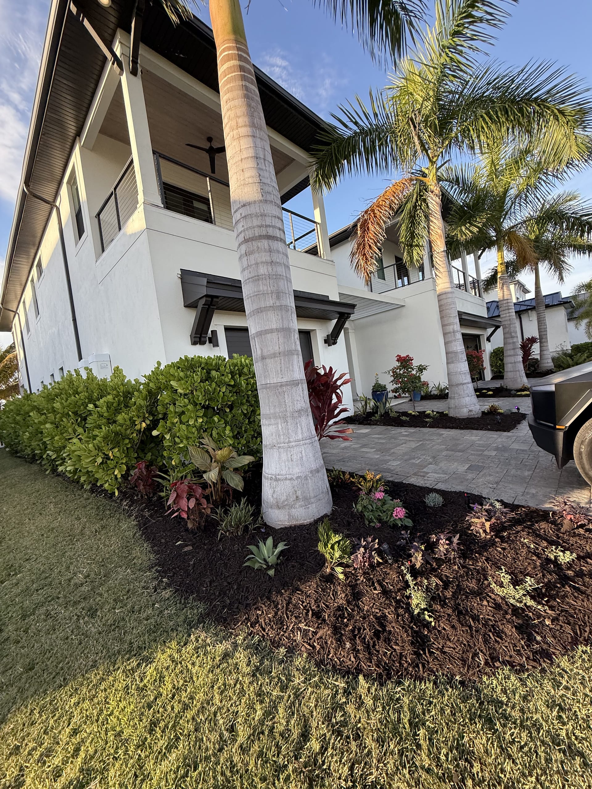After: palms and ornamentals filling in around the home