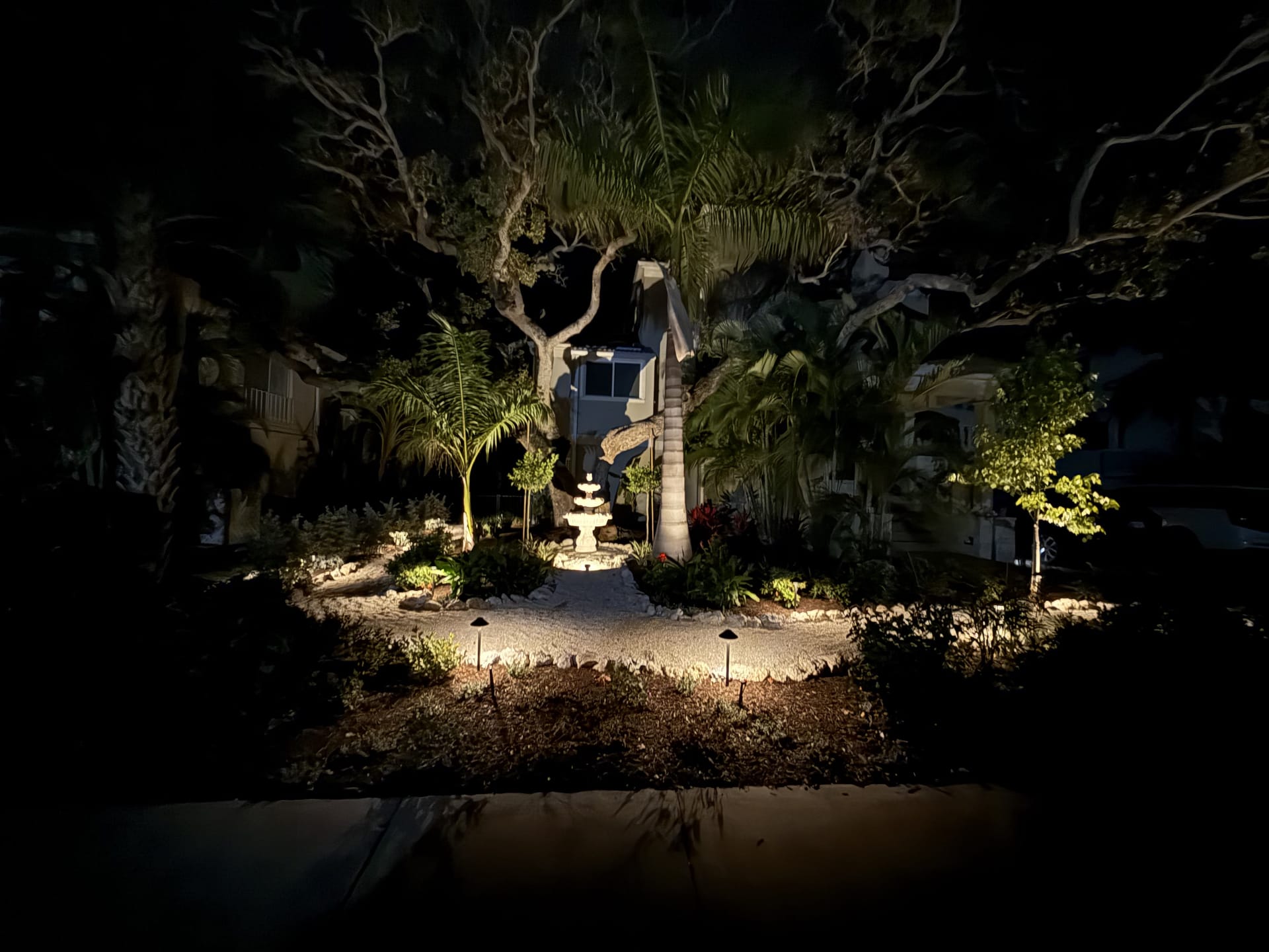 Tropical landscape illuminated by warm low-voltage lighting at night