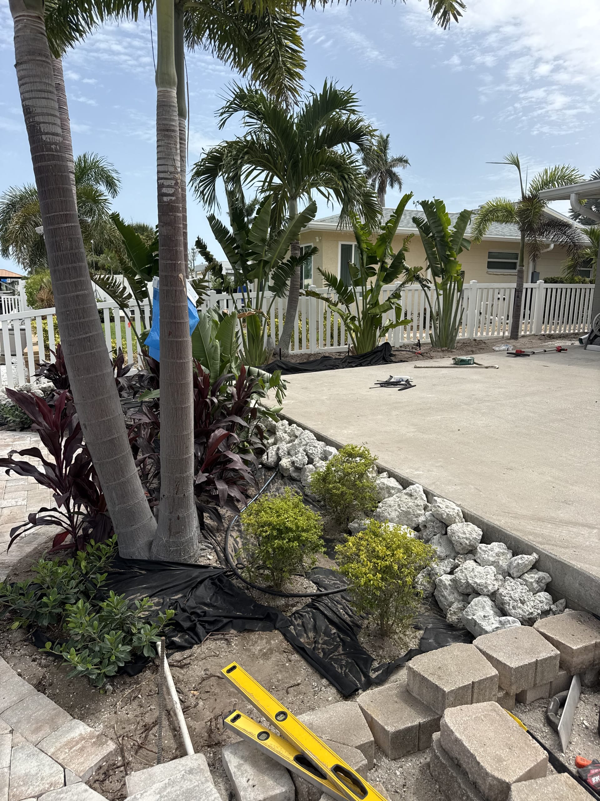Layered tropical garden bed with crotons, lobster claw, and palms being planted