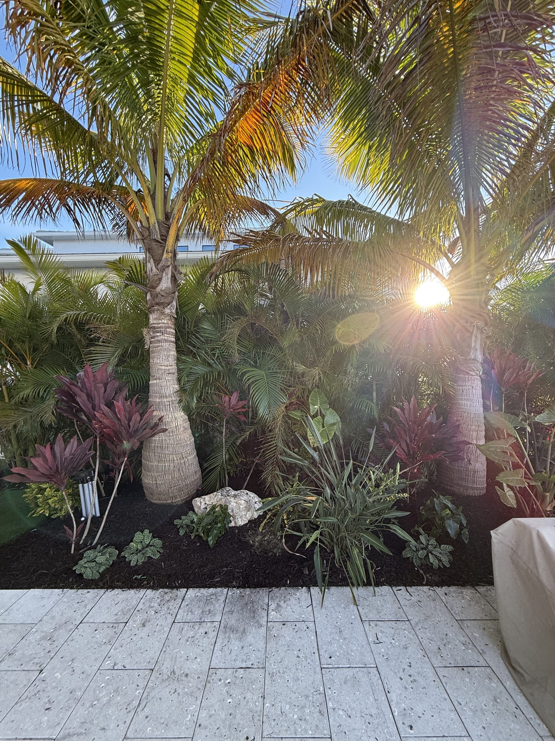 Finished paver patio with layered tropical beds and palms at sunset