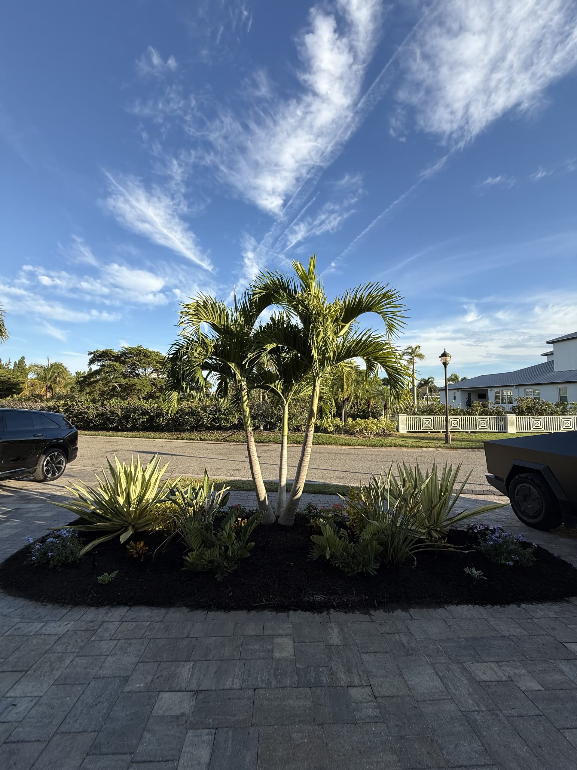 Finished curving paver driveway with a mulched palm island bed